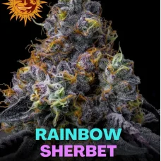 Rainbow Sherbet